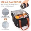 17L Expandable Insulated Lunch Box Bag for Women/Men, Leak-Proof & Freezer-Safe